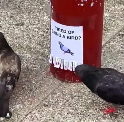 Hmmm