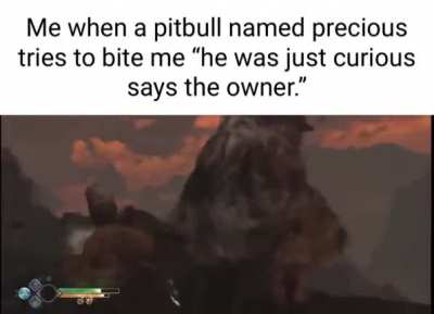 &ldquo;He doesn&rsquo;t bite!&rdquo;