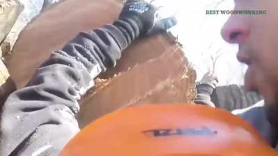 Tree hop lands man in hospital