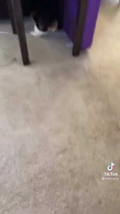 Just give her a second she&rsquo;s just loading