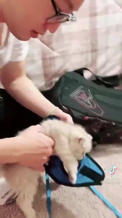 He's not having any of it