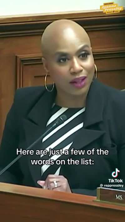 What Project 2025 is