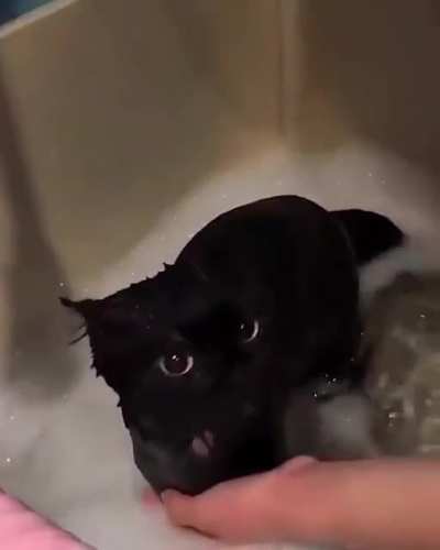 Bath time 🥺