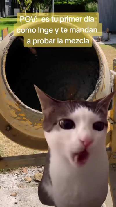 BeelcitosMemes - Video #1051