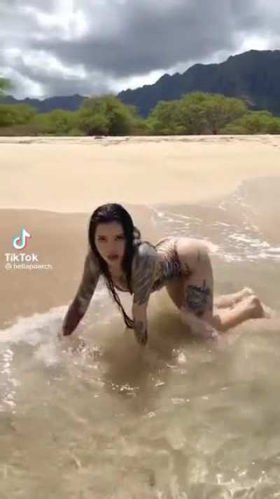 Beach Bella