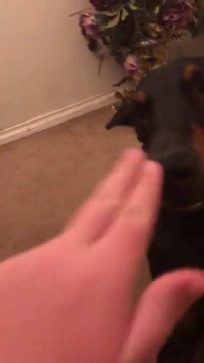 He don&rsquo;t like the boops