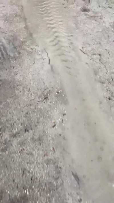 A quick reminder to think about where your tent is placed.