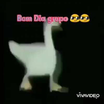 BOM DIA 😎🤗🥰😂😜🤭