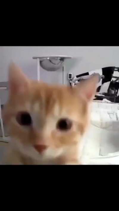 Ata