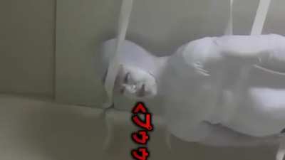 Ceiling people
