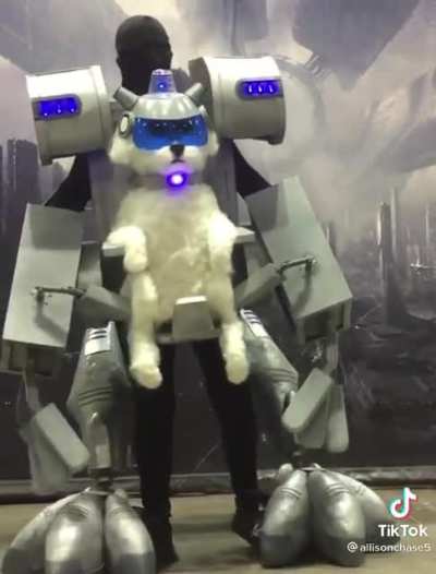 "Where are my testicles Summer?"