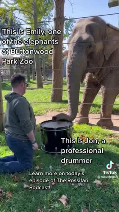 Music is its own language