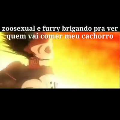 Fique longe furro, vc n&atilde;o vai comer meu cachorro