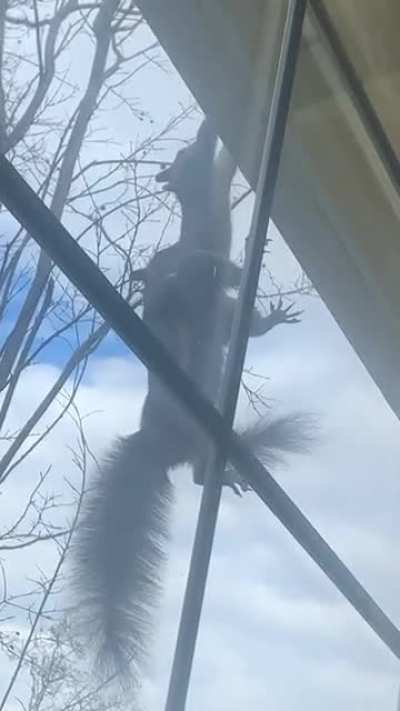 My sister looked out of her window and saw this&hellip;