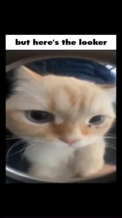 Title