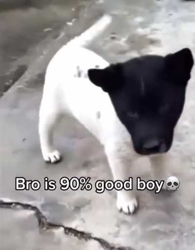 90% 💀 💀 💀