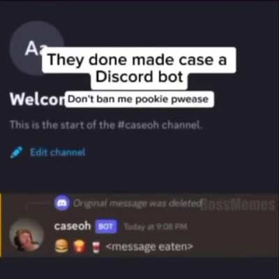 The CaseOh Bot
