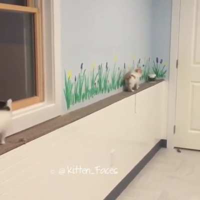 escApeD PrisOneR GeTs baCkEd Into a cORNER yeT MaNAgeS to EvadE tHE PolICE
