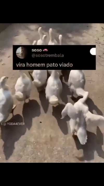 Kkkkkkkkkkkkkk