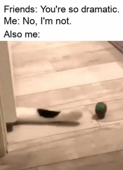 "Why was that necessary?" "Yes."