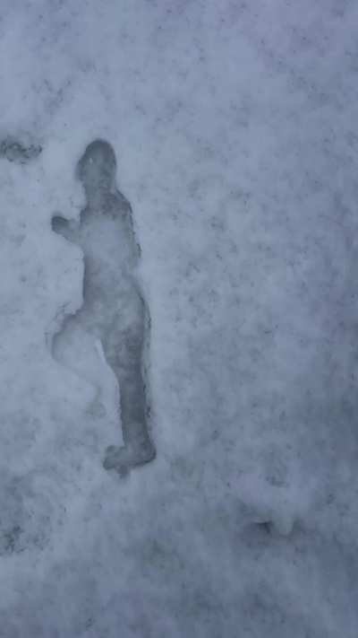 Remaking “Ice Ice Baby” with 150 snow designs 