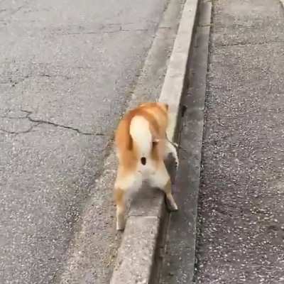 Look at this trick