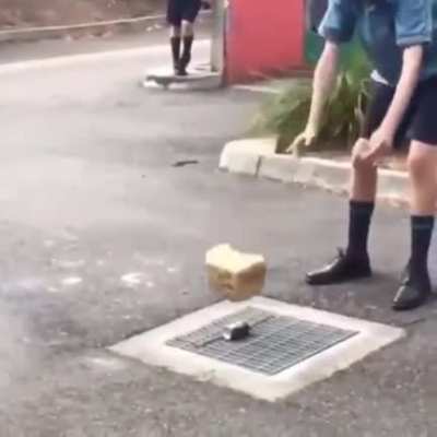 HMPT after I try and open a beer can