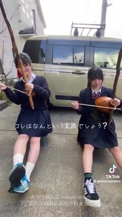 Capoeirotaku