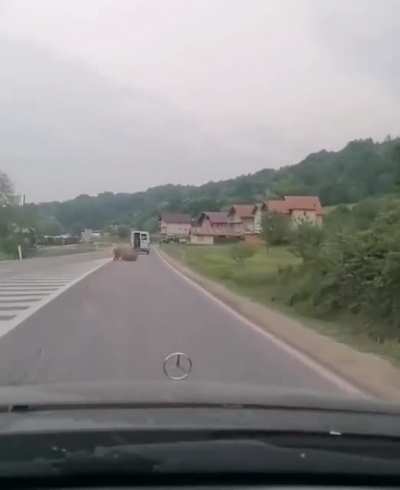 Odmah sam pomislila da je kod nas... kad ono... jeste..