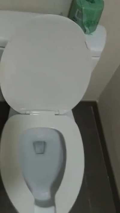 The toilet in my hotel room seems to be struggling