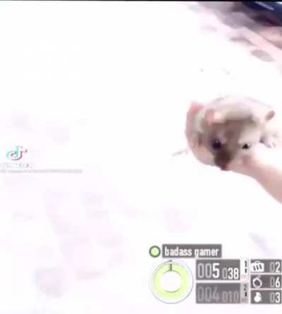 Run