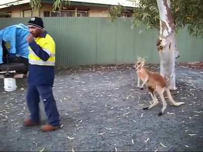 Maybe Maybe Maybe