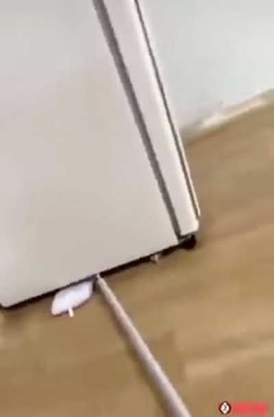 Wet mop + fridge