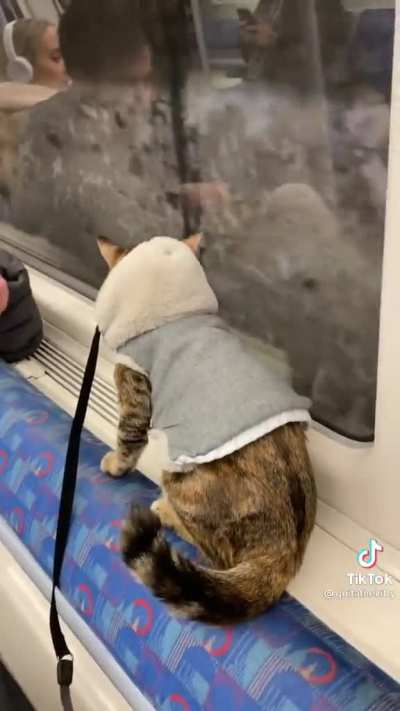 little passenger