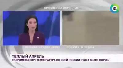 Doggo steals reporter&rsquo;s mic, cameraman follows the action