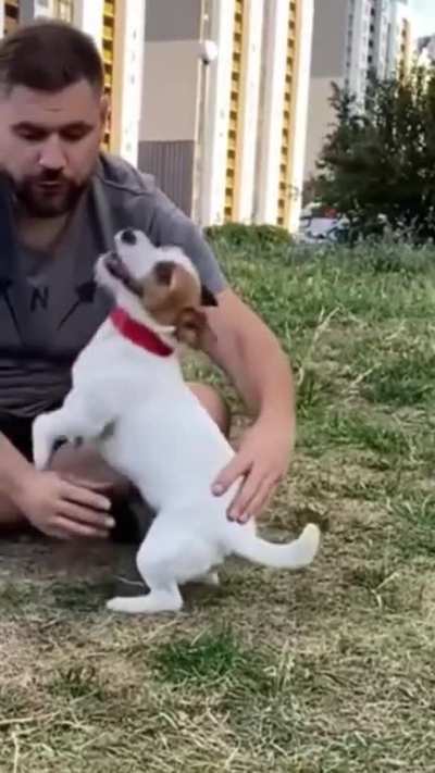 Olha ele
