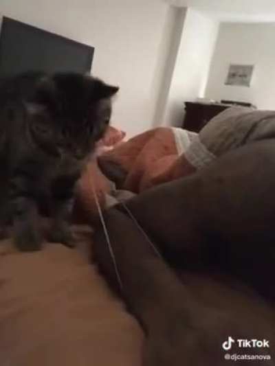 LAsT moMentS aS hOuSeCAt NeARLy sTARVeS t0 DeTH