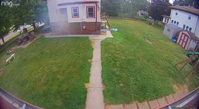 Burglar knocks himself out falling off a gutter spout