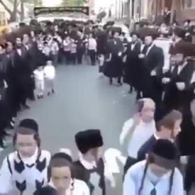 They got all the bitches 