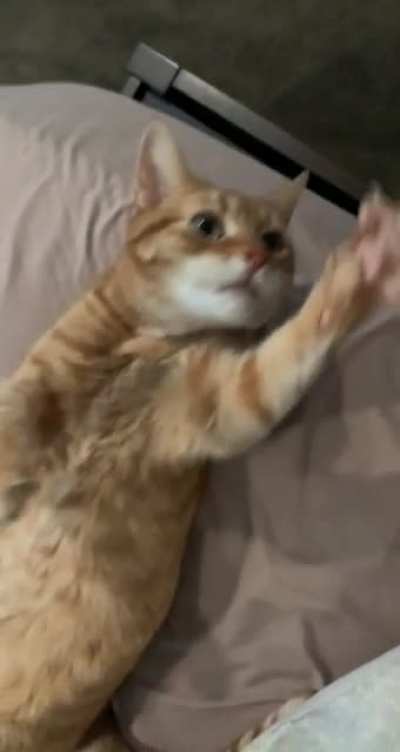 "Hold still and let me love you!"