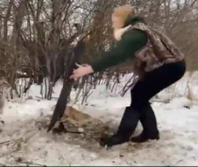 Risking injury to free a bobcat trapped in a snare