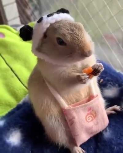 Snack Time