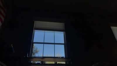 You look like you&rsquo;ve had a rough day. Here&rsquo;s a video of a bird slamming into my window.