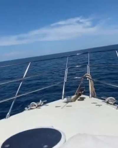 On a boat