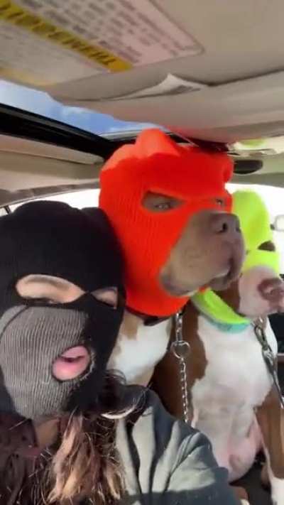 Just driving with the gang
