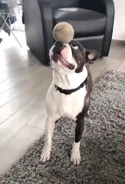 He’s in the zone!