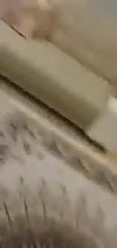 Israeli mobs and police try to break into a Palestinian family&rsquo;s home in Haifa. This is the terror Palestinians are facing right now under the Israeli state.