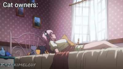 Cat VS dogs anime ver