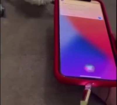 Siri