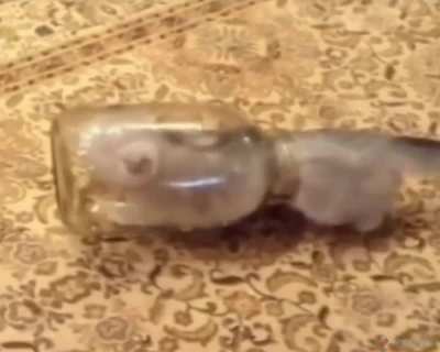 Не влез